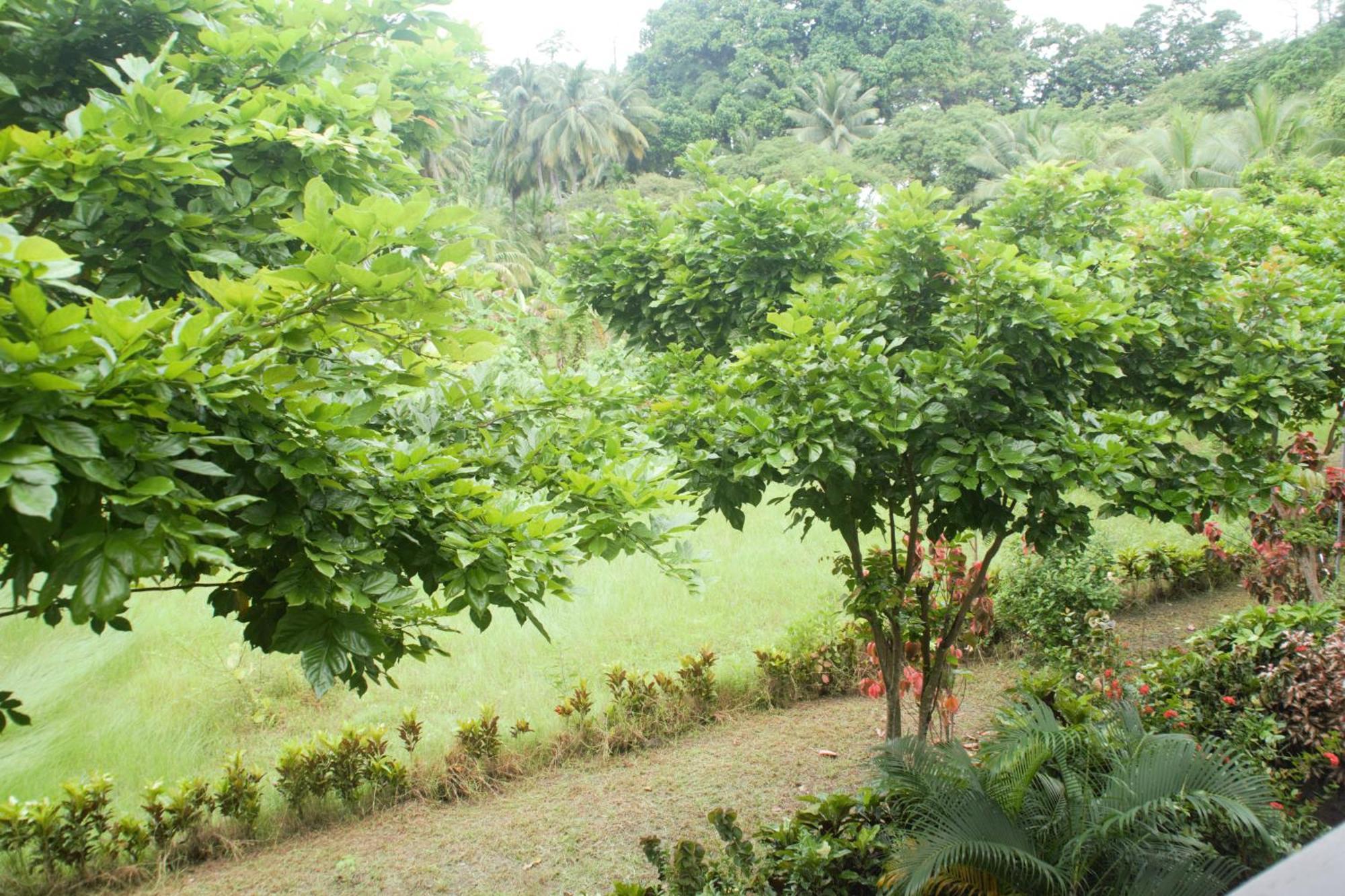 Hotel Exotica Squares Lakshmanpur Exterior foto